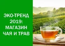 Тренд Ретріт ретріт