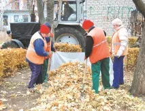 Трава біля будинку листя