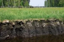 Усадка набухають ґрунтів вологості