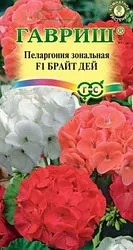 Види пеларгоній (герані) пеларгоній