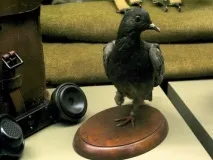світі