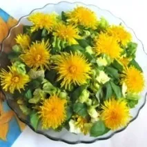 127872 Кульбаба - прекрасний засіб для схуднення - Засоби для схуднення 127872