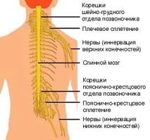 Невріт. Поліневрит. Невралгія. Радикуліт. радикуліт