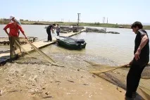 Бізнес пішов під воду тисяч