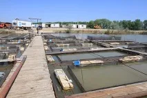 Бізнес пішов під воду воду