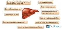 Чищення печінки в домашніх умовах для атлетів атлетів