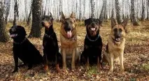 Чим більше впізнаю людей більше