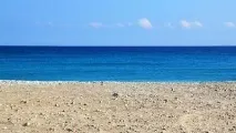 Що таке екзотика Значення, приклади та тлумачення екзотика