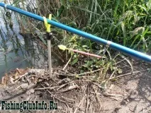 Донний лов карася влітку, інформаційний портал про рибалку карася