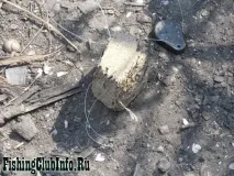Донний лов карася влітку, інформаційний портал про рибалку донний