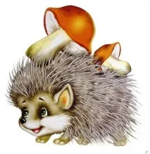 їжаки
