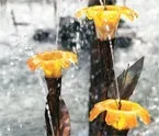 Фонтан як образ садово-паркової архітектури, Ставки, водоймища, фонтани, Журнал «Будинок та сад» образ