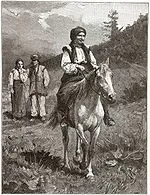 Гуцульський поні – це коней