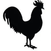 характеристика