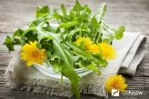 Позбавляємось зайвої ваги за допомогою кульбаби позбавляємось