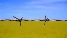Як знайти душевний спокій у житті, Успішна спокій