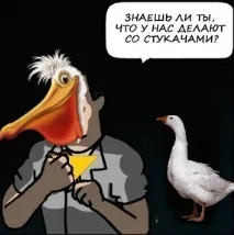 Як лебідь Жорка скаржиться директору барнаульського зоопарку директору
