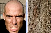 Як застосувати текстуру до нерівної поверхні - Уроки фотошоп і все про фотошоп застосувати