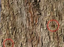 Як застосувати текстуру до нерівної поверхні - Уроки фотошоп і все про фотошоп текстуру