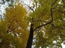 Як підняти настрій подрузі, психологія настрій