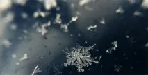 блог