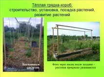 ЯК ЗРОБИТИ ТЕПЛУ ГРАДКУ СВОЇМИ РУКАМИ, Школа Природного землеДелія зробити