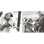 Каска німецька М35 шоломи