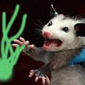 плодового