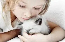 До чого сниться ведмежа чого