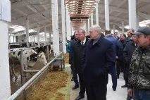 Корпоративне весілля корпоративне