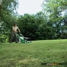 ручна