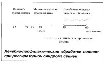 ЛІКУВАЛЬНО-ПРОФІЛАКТИЧНІ ПРЕПАРАТИ ПРИ РЕСПІРАТОРНИХ ХВОРОБАХ Свиней поросят