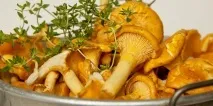 Мариновані лисички лисички