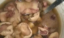 Мариновані маслюки у власному соку - покроковий рецепт з фото на маслюки