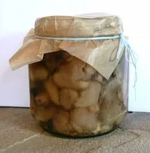 Мариновані маслюки у власному соку - покроковий рецепт з фото на маслюки