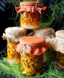 Мариновані лисички гриби