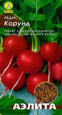 Найкращі сорти редису для відкритого ґрунту ТОП 12 для середньої смуги відкритого