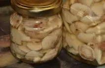 Маслюки користь та шкода, приготування маринованих та солоних на зиму шкода