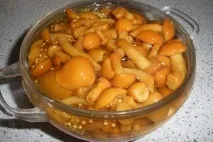 Маслюки мариновані у власному соку - Рецепти кулінарії соку