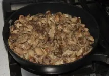 Маслюки користь та шкода, приготування маринованих та солоних на зиму шкода