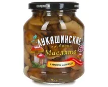 Маслюки користь та шкода, приготування маринованих та солоних на зиму шкода