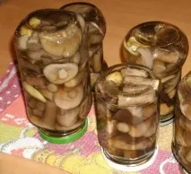 Маслюки користь та шкода, приготування маринованих та солоних на зиму користь