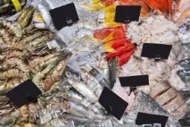 Мурманським мономістам допоможуть вийти з кризи - українська газета мономістам