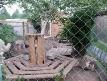 дуже