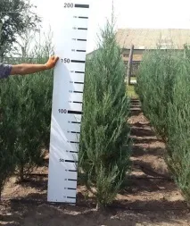 опис