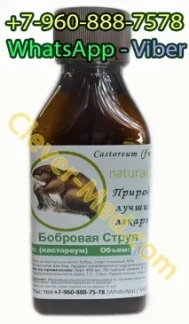 Чи можна цілуватися при туберкульозі, Сушена Ведмедка можна