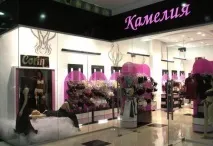 Оформлення вітрин та торгових площ - Каталог статей - 1000 статей площ