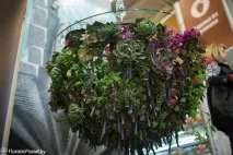 Звіт Московський конкурс флористів-2016 - Планета Флористики московський