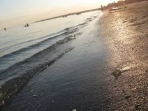 Відпочинок у Коблеві все, що потрібно знати про поїздку - Туризм знати
