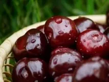 Користь черешні для здоров’я, Здорове харчування здорове